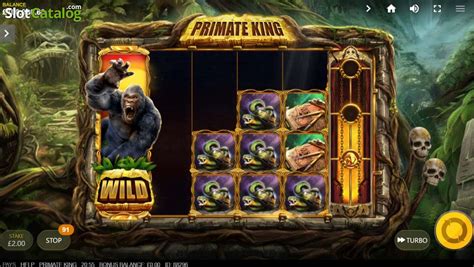 Primate king slot